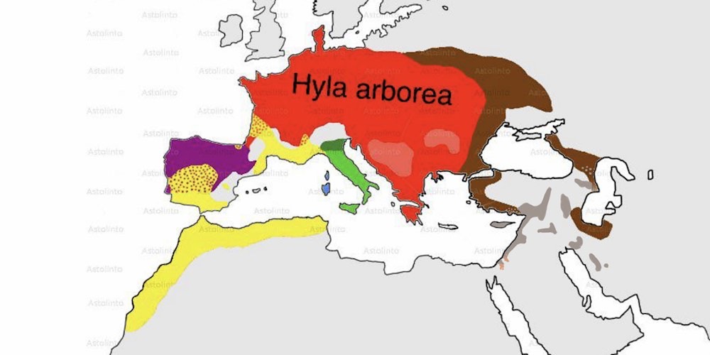 mappa delle raganelle europee