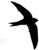 Uccelli